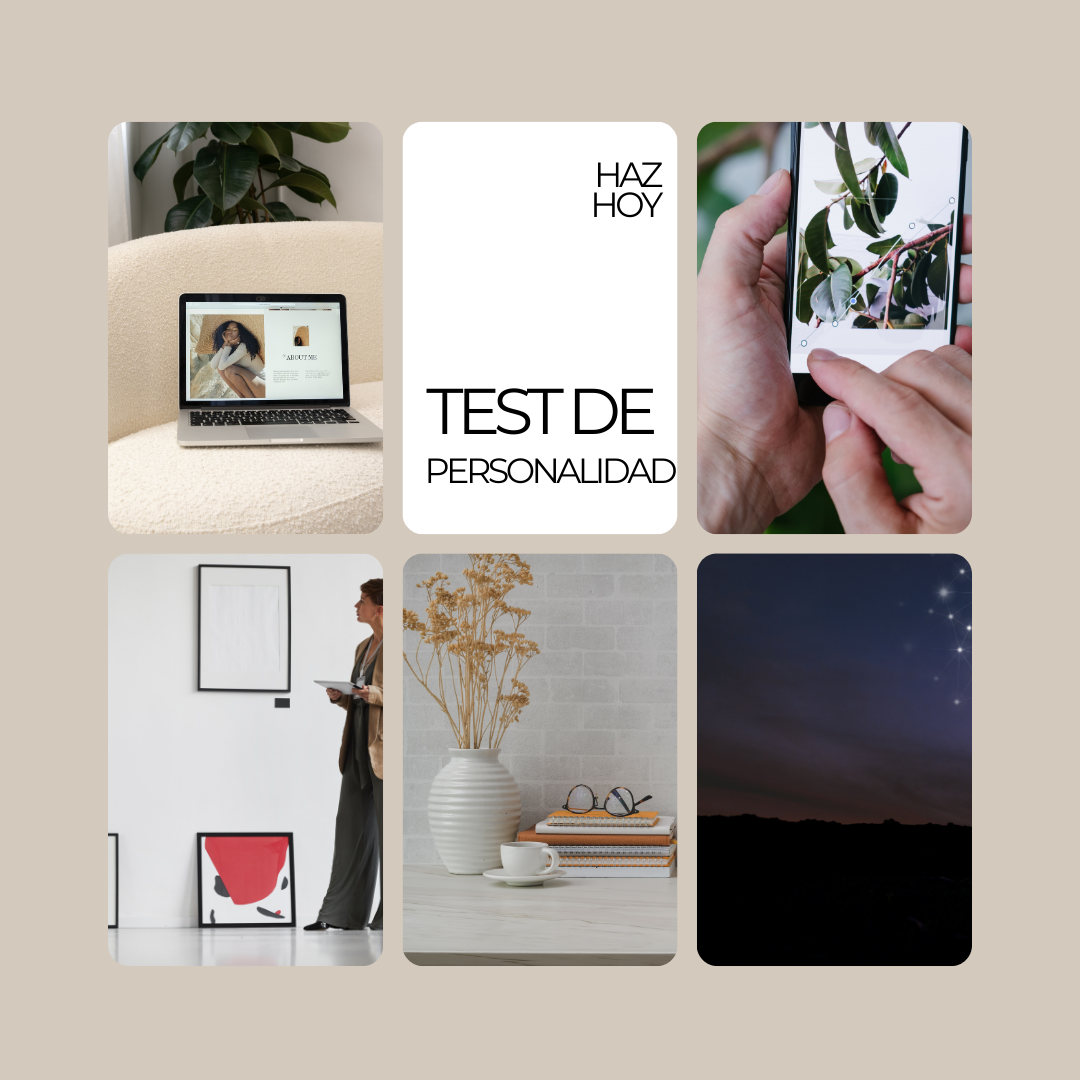 0ddc8af-27a-e378-ad76-afc68cf3ae6_fd81c96c-3c2b-438d-98eb-6978ec2edd95